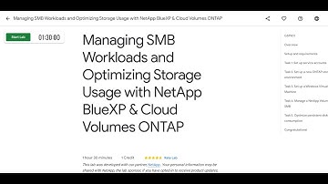 Managing SMB Workload and Optimizing Storage Usage with NetApp BlueXP & Cloud Volumes ONTAP Solution