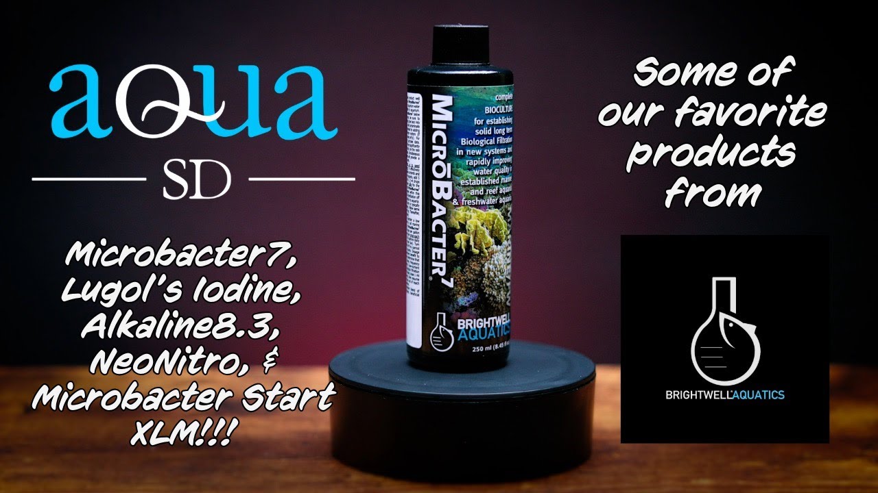 💧 YouTube Video #23: Brightwell Aquatics Product Spotlight | AquaSD