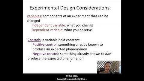 Experimental Design Part 1