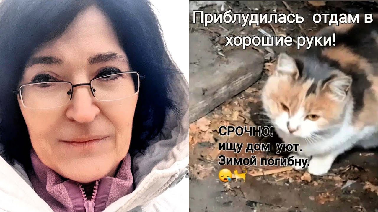 г.Днепр. КОШКА ИЩЕТ ДОМ !!! Мою Мусю подменили!