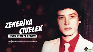 Zekeriya Civelek - Senin Olmaya Geldim Resimi