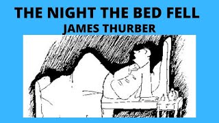 The Night The Bed Fell | James Thurber | English Explanation