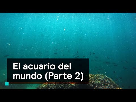 Por el Planeta: