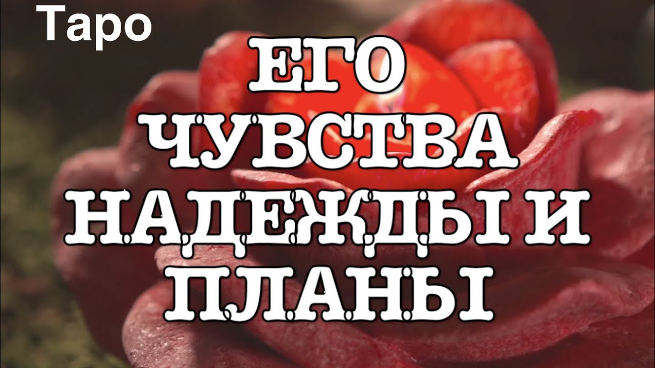 ваши надежды и планы. ваши надежды и планы. сверх всякого ожидания. опыт память. планы и надежды.