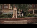 Hachiko: A Dog's Story (my clip)