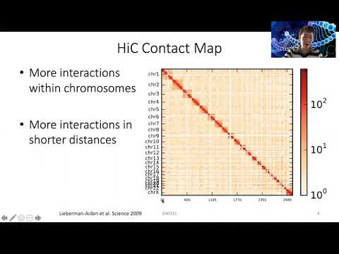 Video: HiC-Pro: En Optimeret Og Fleksibel Pipeline Til Hi-C Databehandling