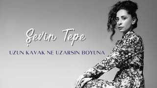 Şevin Tepe - Uzun Kavak Ne Uzarsın Boyuna | Single, 2024 Resimi