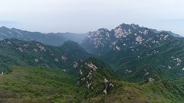 GLOBALink | Former mining land in central China restored to protect biodiversity