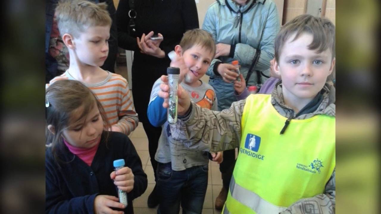 Skolēni iesaistās vides aizsardzības aktivitātēs Aizupes pamatskolā (17.09.2016.)