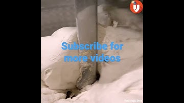 Automatic Line For The Production Of Bread #shorts