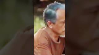 Ini Sih Katanya Tanah Surga Katanya shorts short short  tanahsurgakatanya subscribe