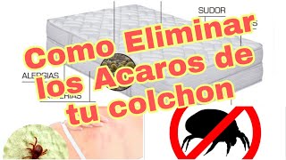 9 consejos para eliminar ácaros · Tu Experto Textil