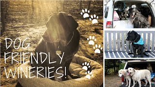 Dog Friendly Wineries!