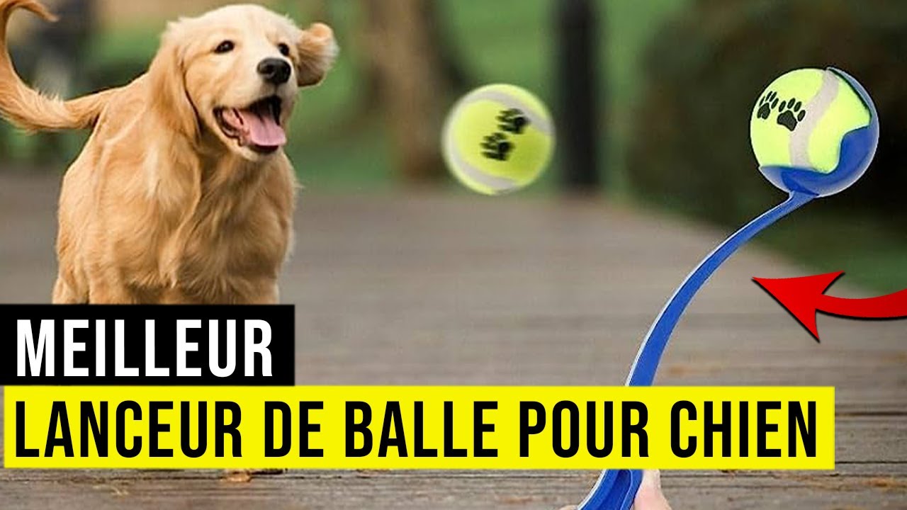 Lanceur Automatique De Balles Pour Chien - Distance Réglable 3 à 9 M - Livré Avec 6 Balles De Tennis - Parfait Pour Jouer Et Faire De L'exercice