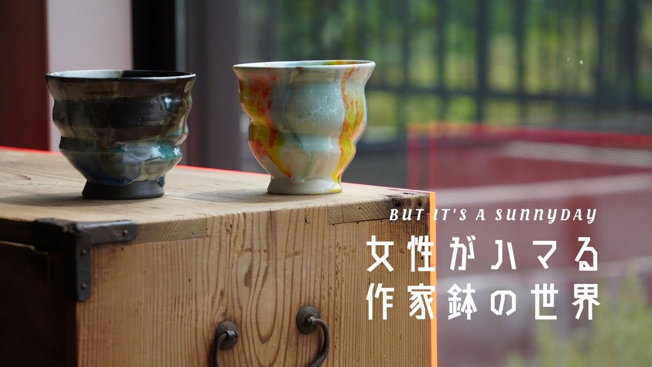 女性がハマる作家鉢の世界】塊根植物にハマった女子がまた作家鉢を購入