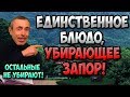 ЕДИНСТВЕННОЕ БЛЮДО, УБИРАЮЩЕЕ ЗАПОР! ОСТАЛЬНЫЕ НЕ УБИРАЮТ! Островский. Формула 77. Бокс.