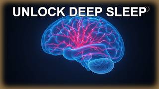 l theanine for sleep quality and morning alertness