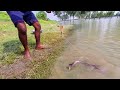 Best Amazing Hook Fishing Video 2022 | Traditional Boy Catching Big  Monster fish with Chicken Wings