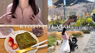 Kyoto Vlog桜が見える六角堂スタバ春の京都散歩抹茶フレンチトースト作り京都御所の桜