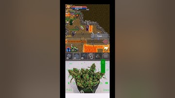 1v1 W38. Tibiame Beta