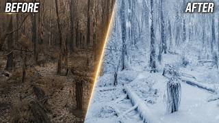 Turning a Dry Forest into Snowfall in After Effects | Cinematic VFX