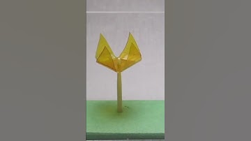 spore actuators #actuator #robotics