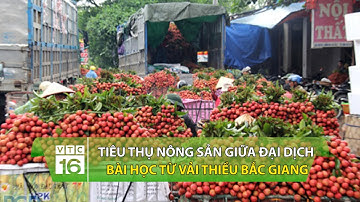 Tiêu thụ nông sản giữa đại dịch: Bài học từ vải thiều Bắc Giang | VTC16