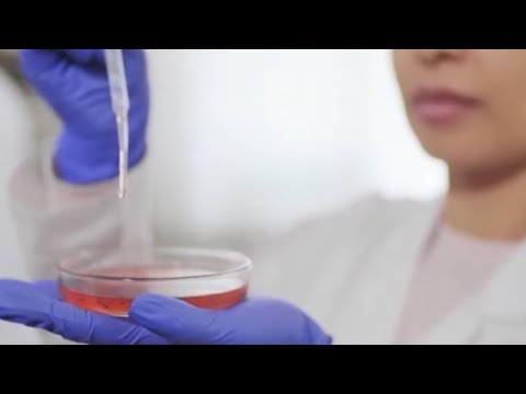 დაავადებული კვერცხუჯრედების საერთაშორისო სკანდალი