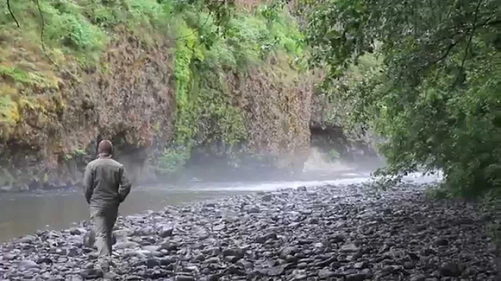 Molalla River Recreation!