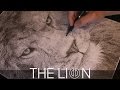 LION DRAWING TIME-LAPSE - 154 HOURS - REALISTIC PENCIL DRAWING