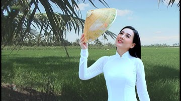 Lời Của Gió (Chachacha) - Sáng tác: Duy Thái