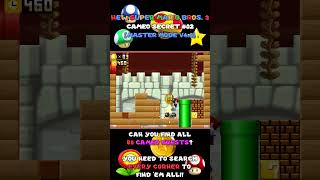 Cameo Secret #02 (its NSMB3, not SMM1 nor SMM2)