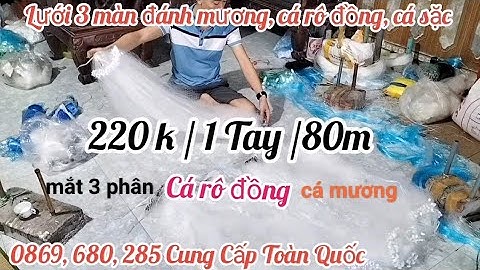 lưới đánh cá 3 màn Đánh chìm, lưới cá mương, cá rô đồng, cá sặc, cá diếc