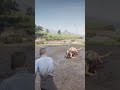 Brutal Lion Attack in RDR2… Who Can Save Him? Insane Rescue Moment! #shorts #gaming #viral