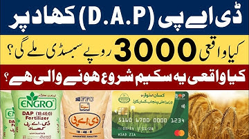 3000 Rupay Ki DAP Subsidy | Kisan Card Walo ke liye Bara Tohaffa? | CM Maryam Nawaz ka Naya Faisla?