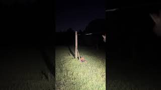 Woman Crashes Into Other End of Pole While Zip Lining - 1498250