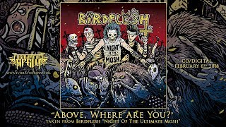 BIRDFLESH &quot;ABOVE, WHERE ARE YOU?&quot; (Official Streaming Video)