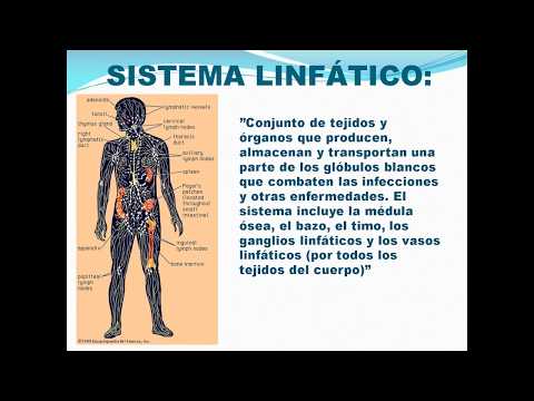 Vídeo: Linfoma De Células B: Perspectivas, Tratamiento, Tipos Y Más