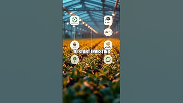 Navigating Decentralized Finance with Yearn Finance #stocks #digitalassets #stockmarket #trading