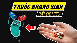 Hiểu rõ về thuốc Kháng sinh chỉ trong 5 phút