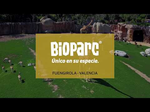 Vídeo publicitario - Vídeo corporativo - Vídeo Valencia