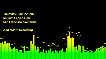 AudioMoth: June 22, 2023, 5:32am Pacific