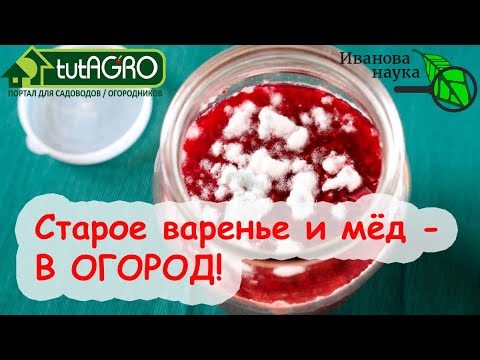 ВАРЕНЬЕ вместо ХИМИИ. КАК ИСПОЛЬЗОВАТЬ СТАРОЕ, ЗАПЛЕСНЕВЕЛОЕ или ЗАБРОДИВШЕЕ ВАРЕНЬЕ и МЁД.