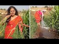 How Does Indian Farmers Supply Water to Their Farm | Must Watch At Once | Village Life Vlog