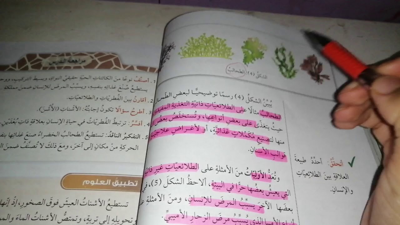 مملكتا الفطريات والطلائعيات | الصف السابع - علوم.