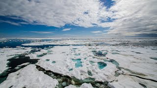 Environmental Intelligence Collaboration Team July Meeting – 5-Year Arctic Research Plan