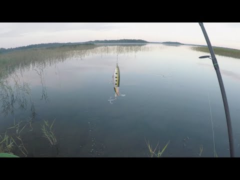 Video: Kādi Ir Makšķeres Veidi