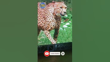 Video wall Display Pixel -p3, p4, p6, p8, p10