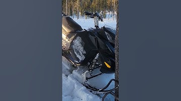 SNOWMOBILE CRASHES INTO TREE