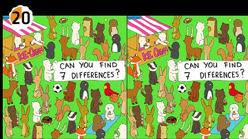 Only 1 Percent Can Find Every Difference In These Puzzles!